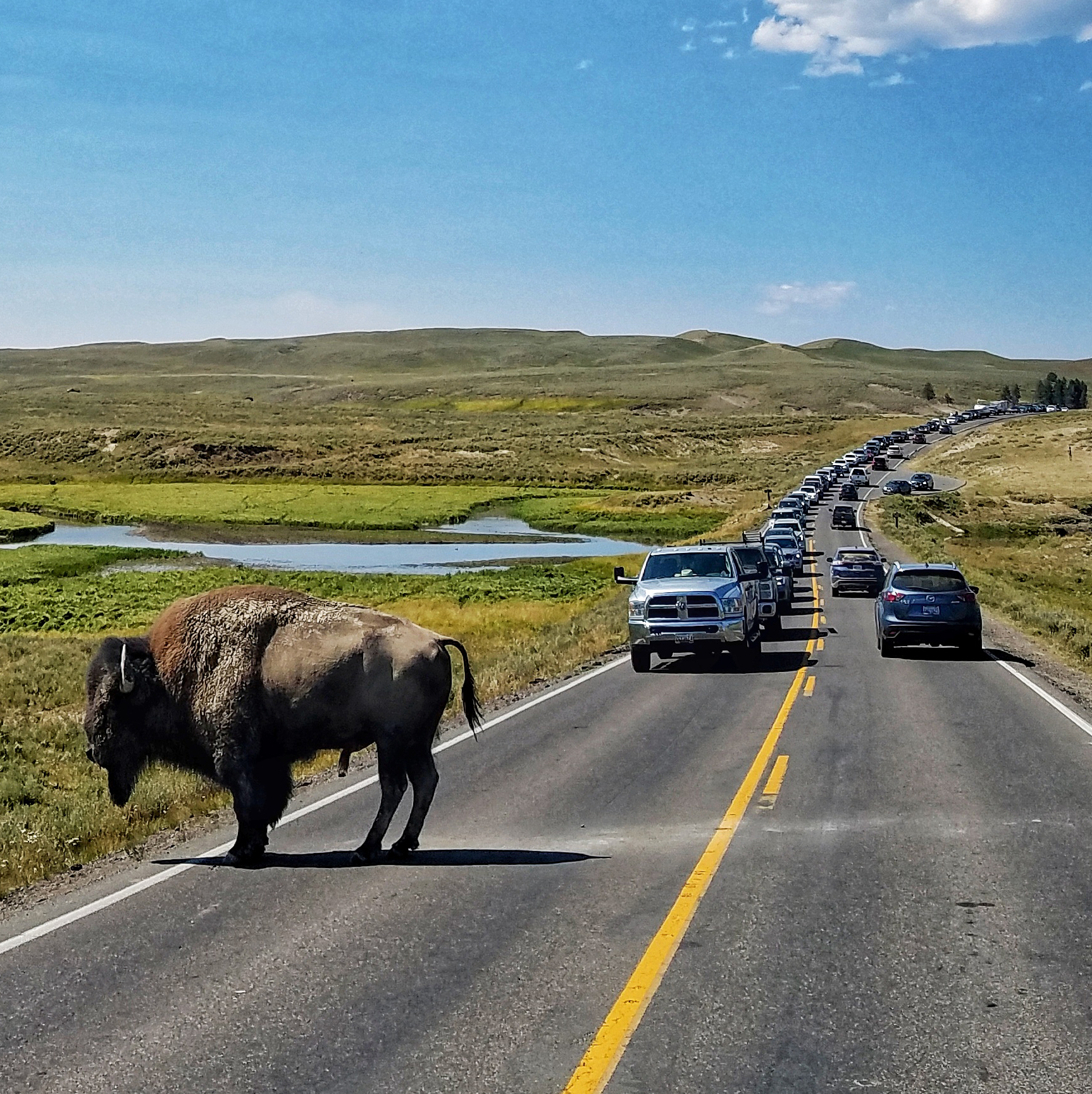 Out West: Yellowstone – The Flying Hens