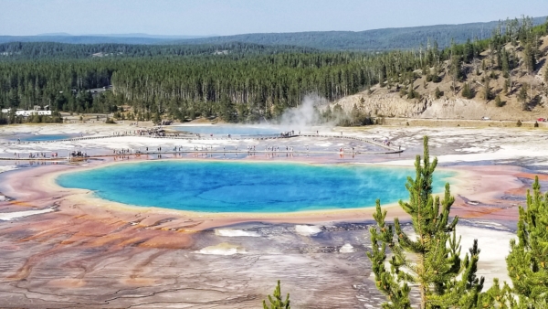 Yellowstone: Top 5 Things (and More!) With Kids – The Flying Hens