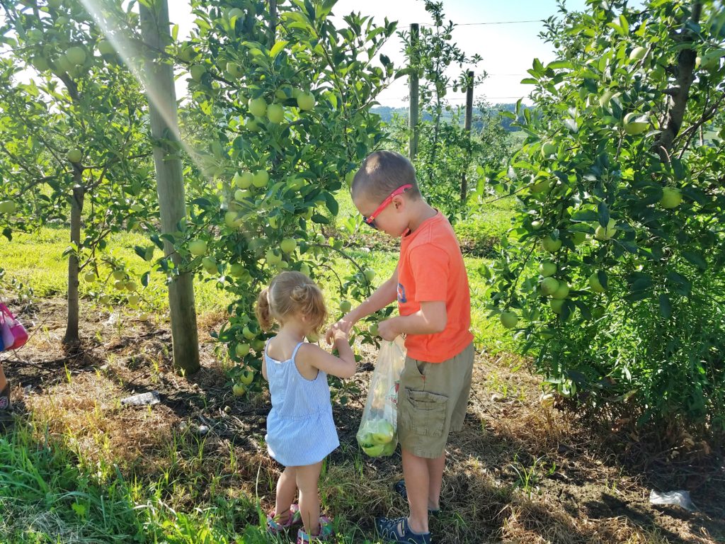 Amish Country Ohio: A Family Adventure – The Flying Hens