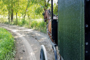 Amish Country Ohio: A Family Adventure