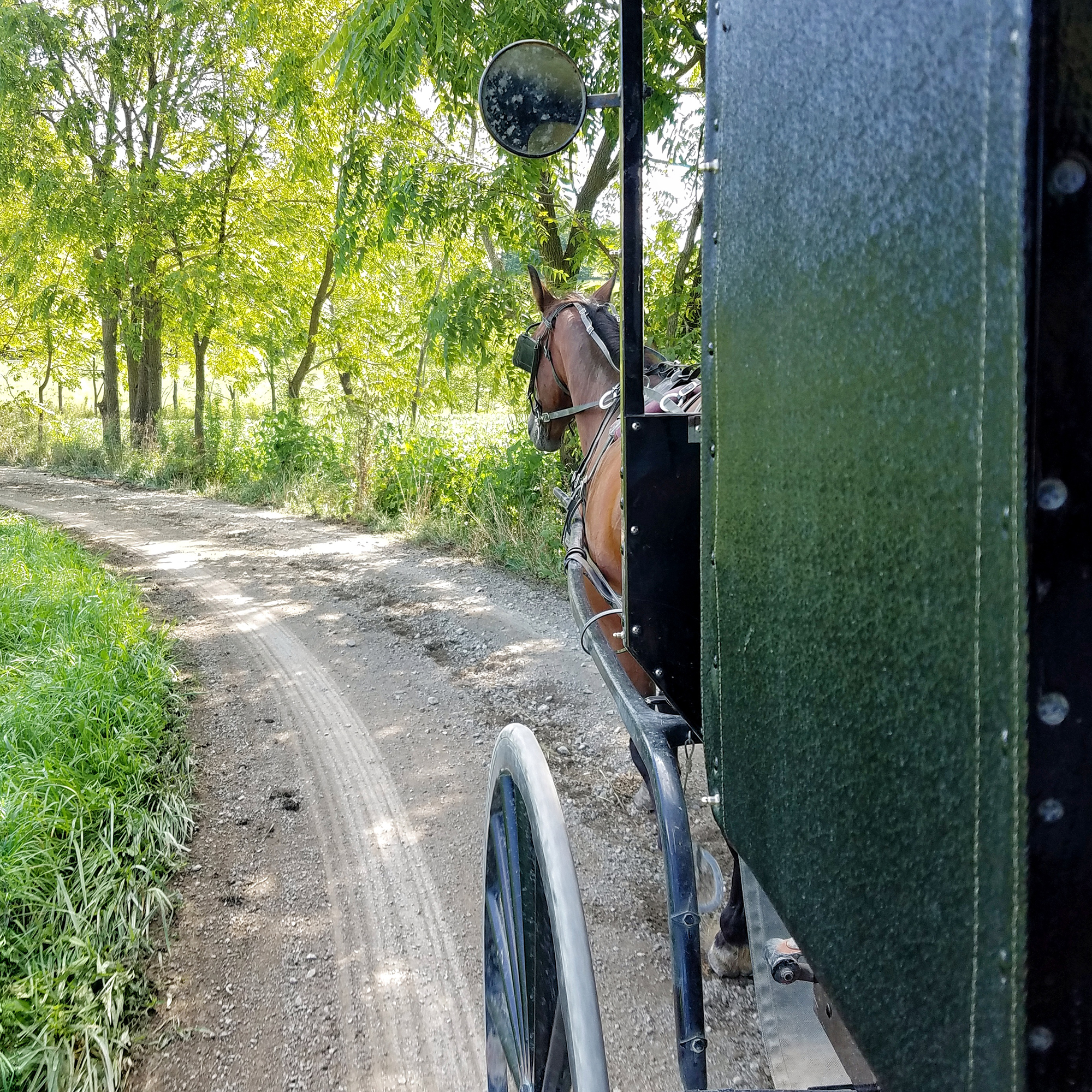Amish Country Ohio: A Family Adventure - The Flying Hens