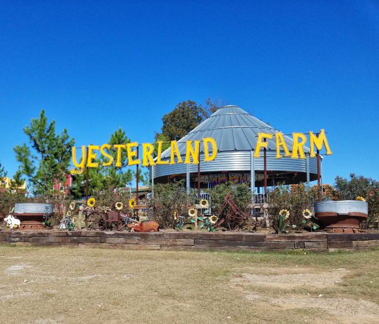YesterLand Farm A Texas Family Tradition The Flying Hens